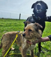 Neslin20