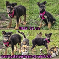 Tilly