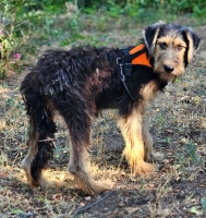 Tilly neu5