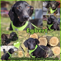 Egbert