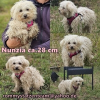 Nunzia Collage Nunzia