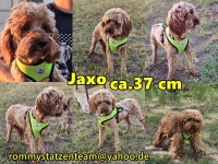 Jaxo Collage Jaxo