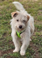 Lucio2