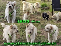 Lucio Collage