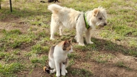 Lucio Katze2