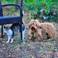 Elmar Katze2