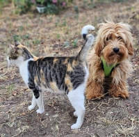 Elmar Katze