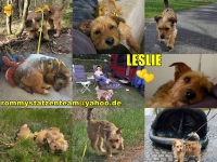 Leslie-Neslin Collage