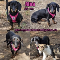 Alna Collage