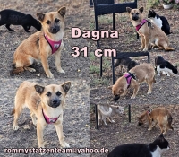 Dagna Collage Dagna