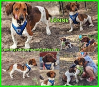 Lönne