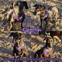 Ciemny Collage