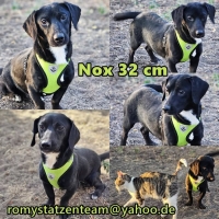 Nox Collage