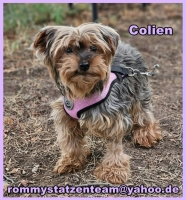 Colien Colien