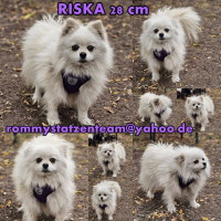Riska