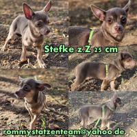 Stefke Collage Stefke